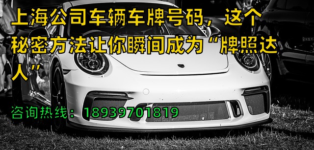 上海公司车辆车牌号码，这个秘密方法让你瞬间成为“牌照达人”