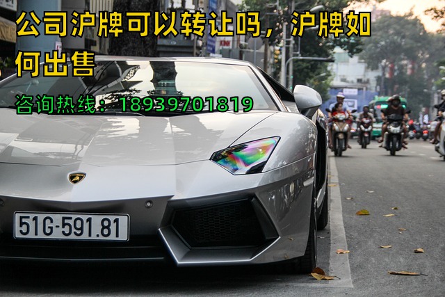 公司沪牌可以转让吗，沪牌如何出售